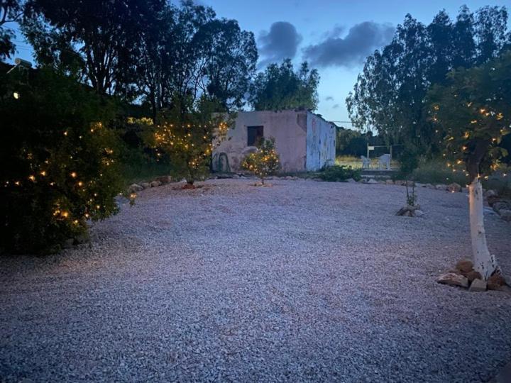 Thalia's House * פסטידה